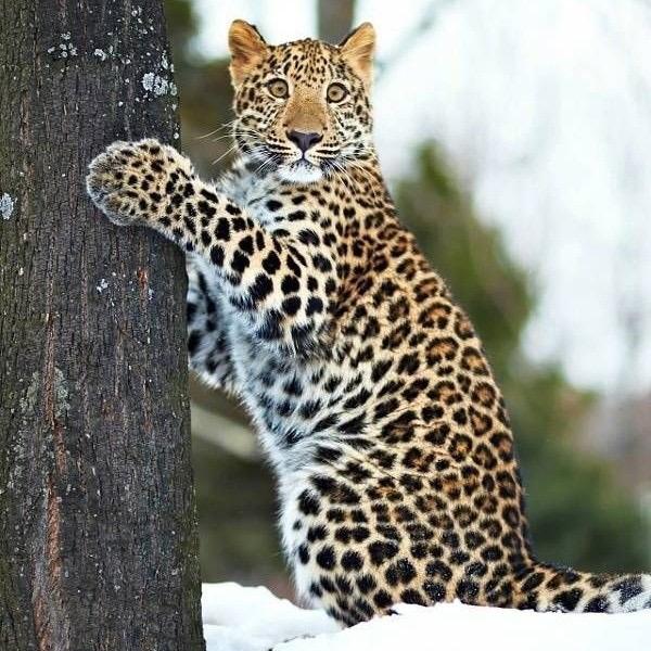 松鼠🐿️🐿️