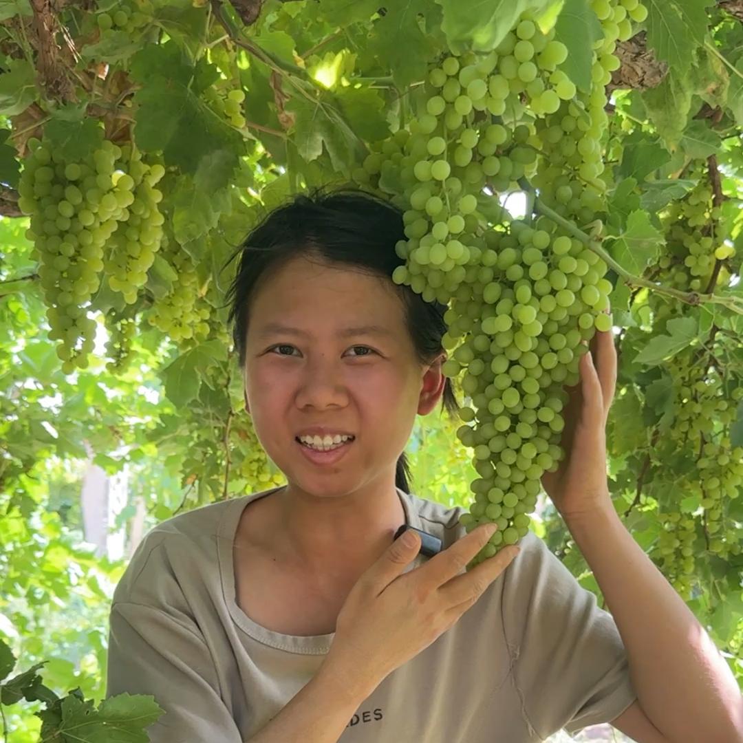 西北姑娘