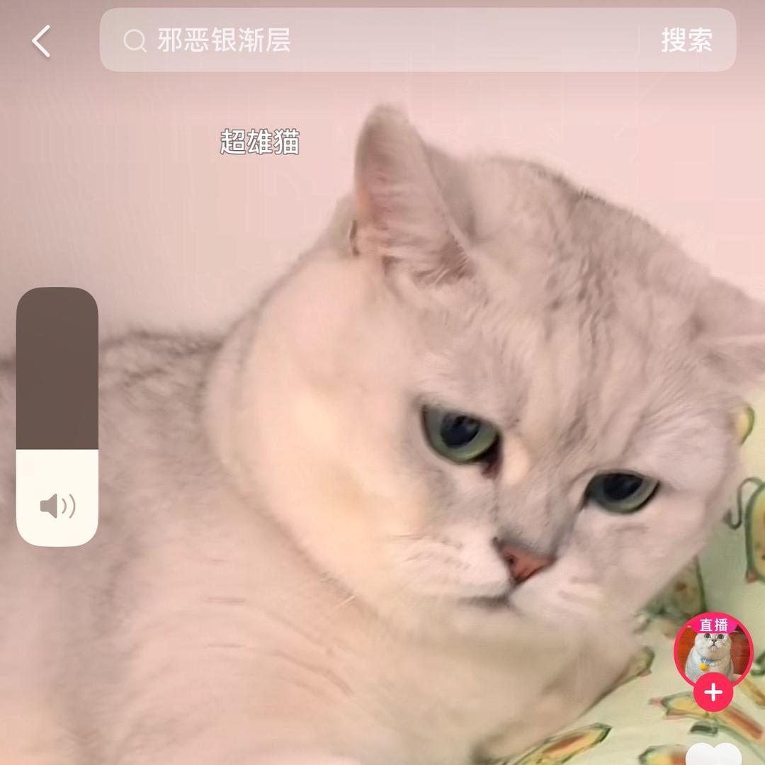 @诗涵❤️