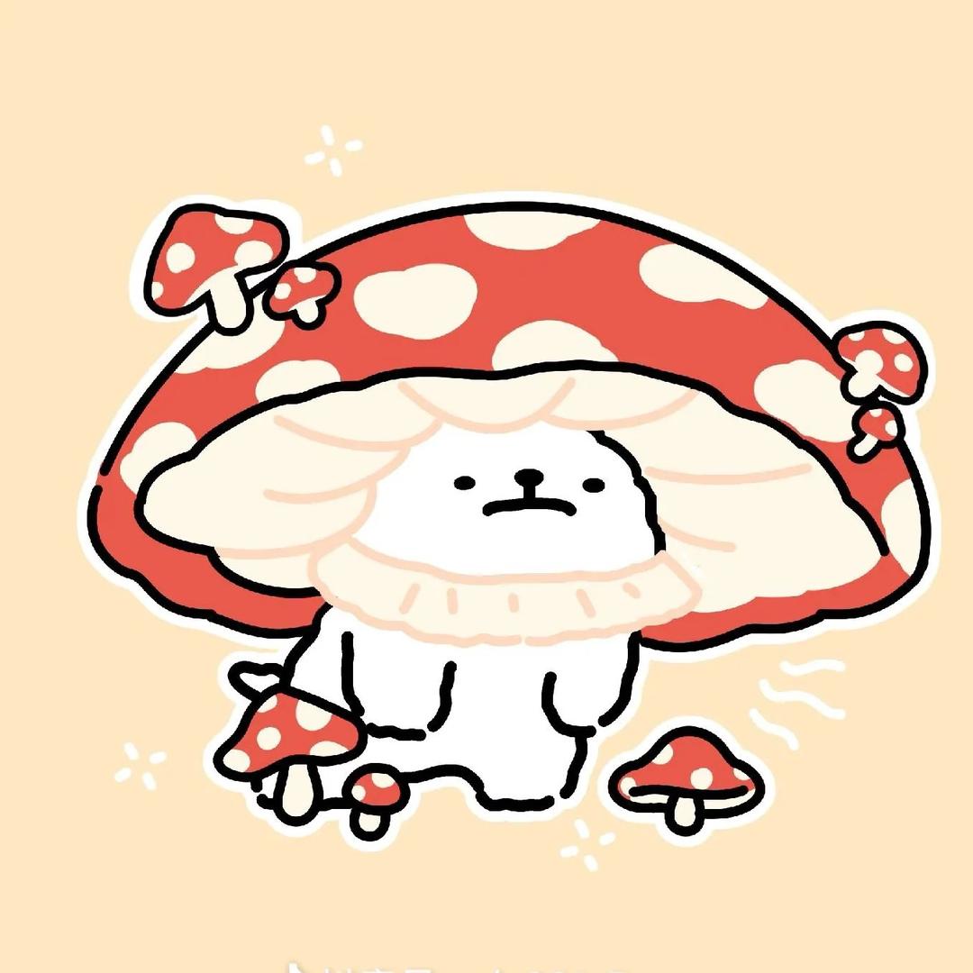 蘑菇演唱团购🍄