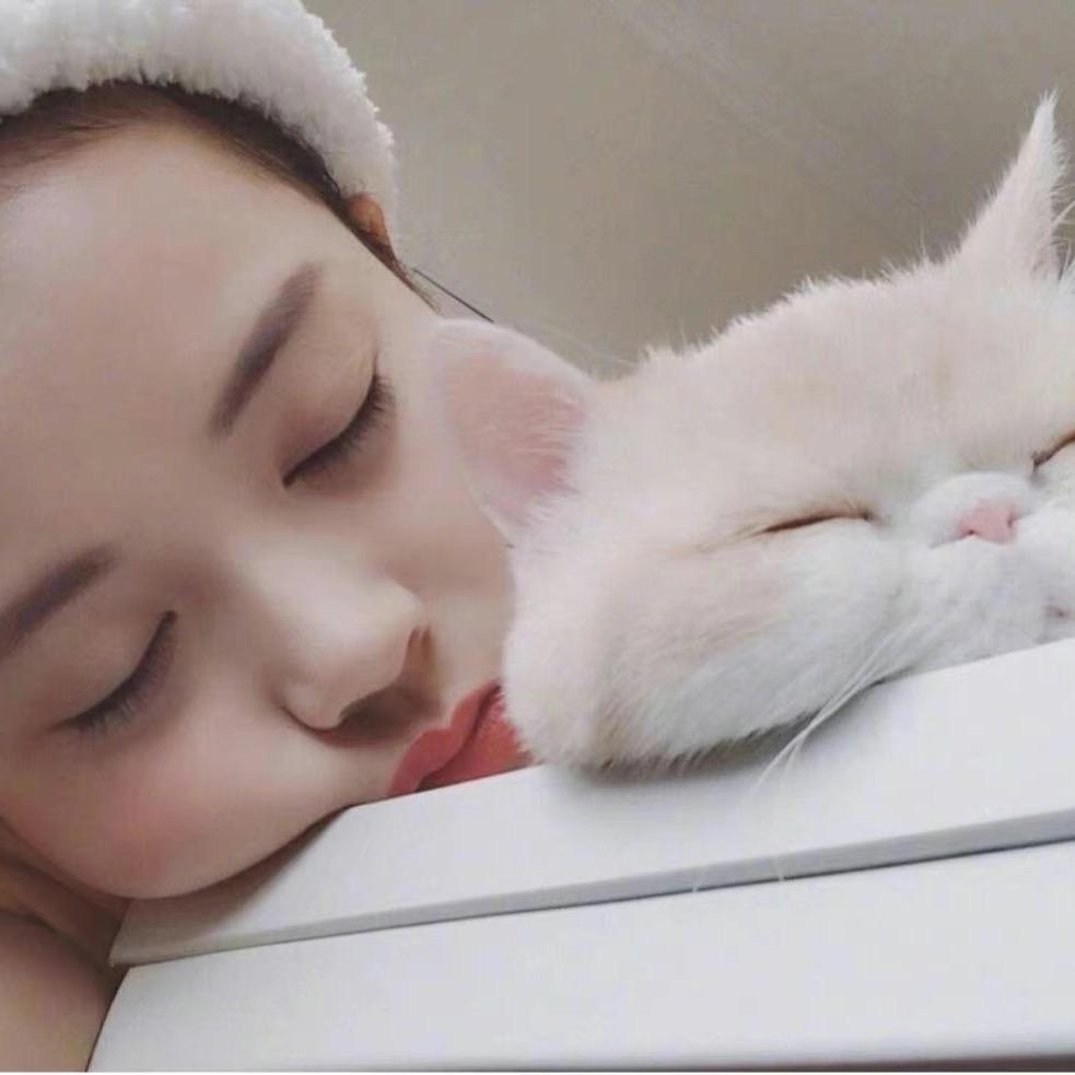 杨懒懒