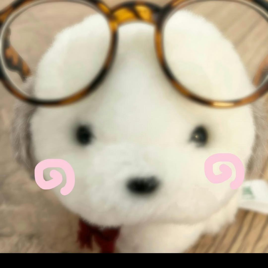 Sasaaaa
