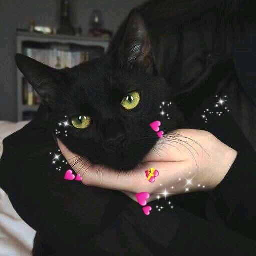 小尹