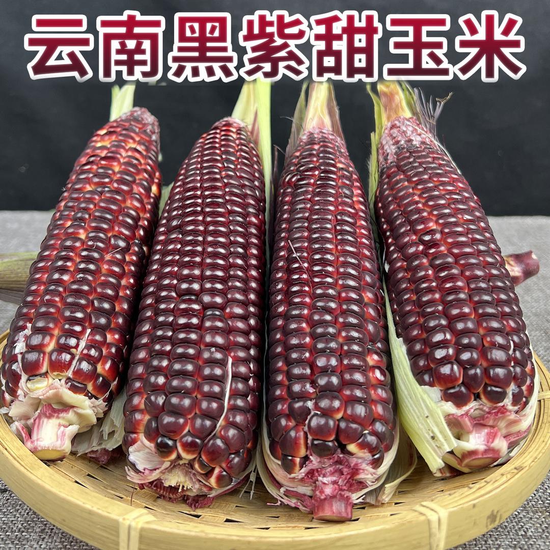 多彩果蔬