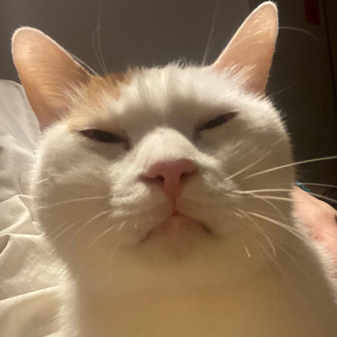 蛋蛋是个好宝宝