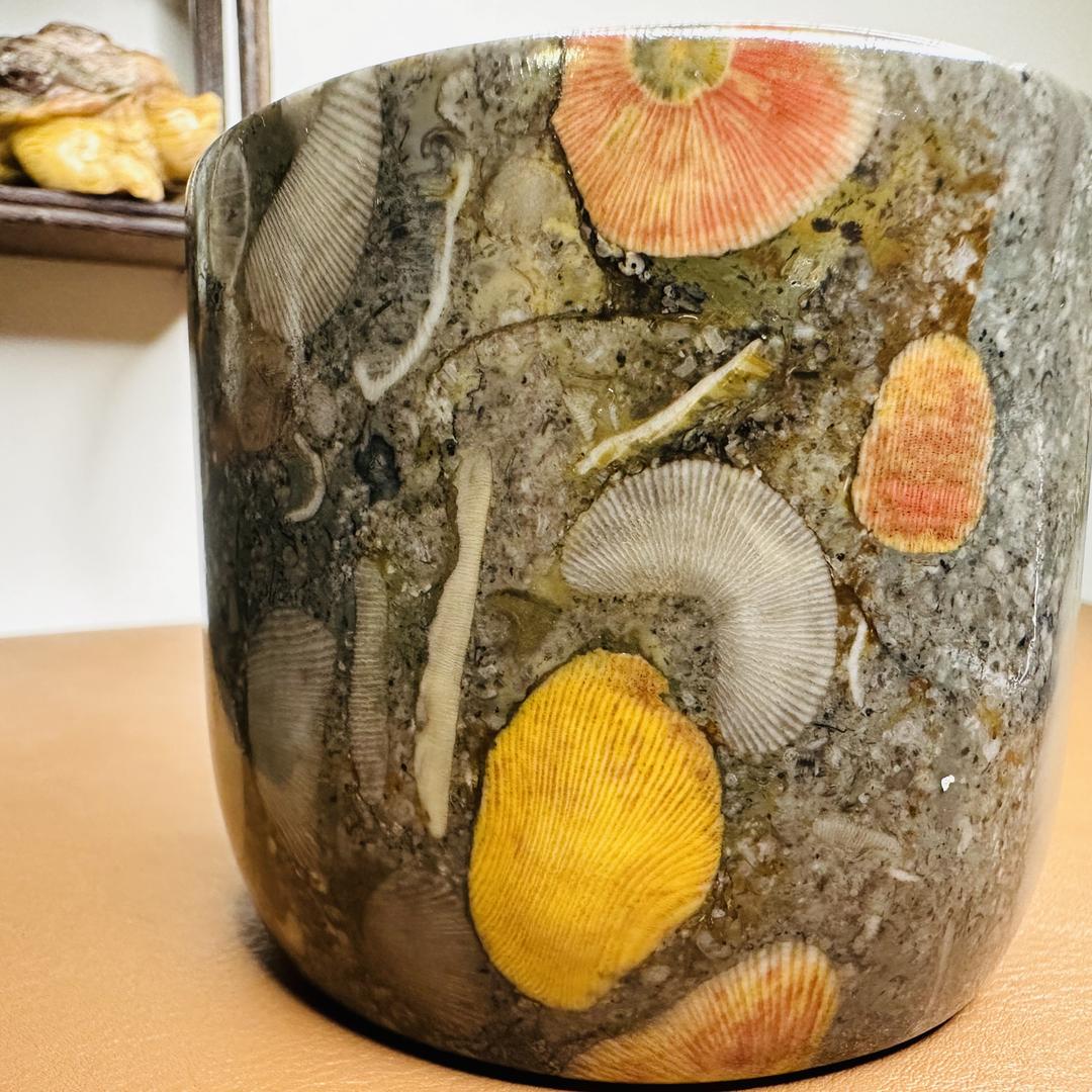 蜀陕海洋生物玉石馆
