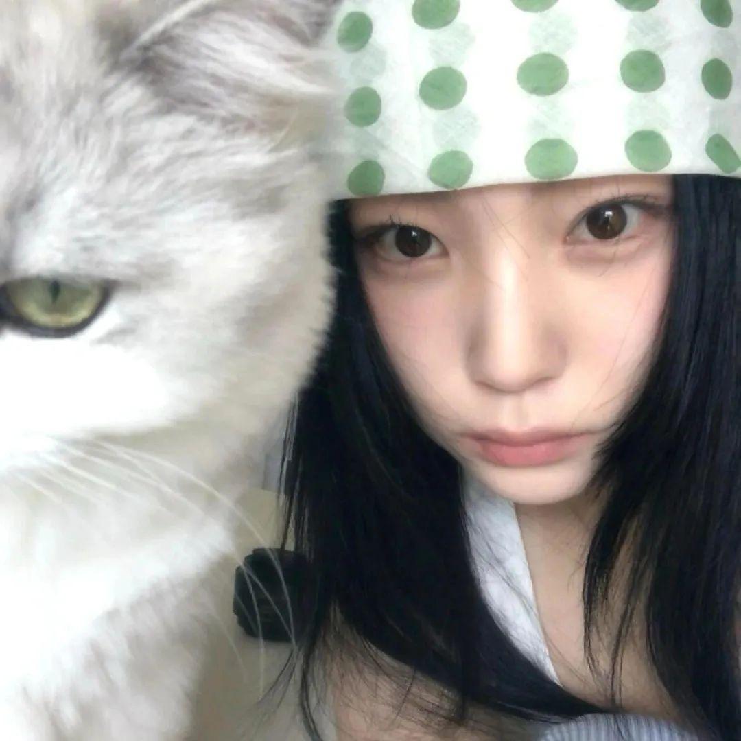 房檐旁的猫.🥝