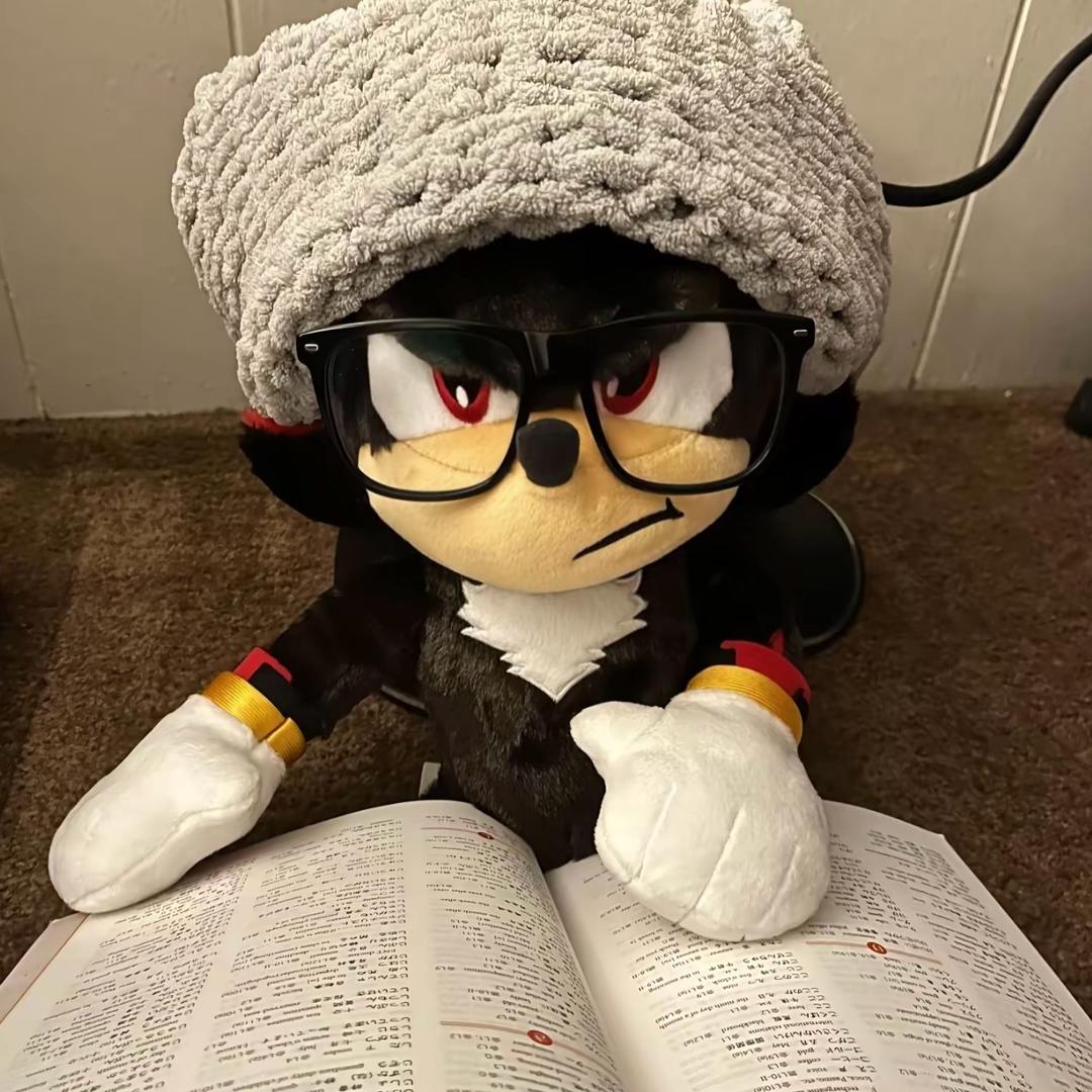 2887