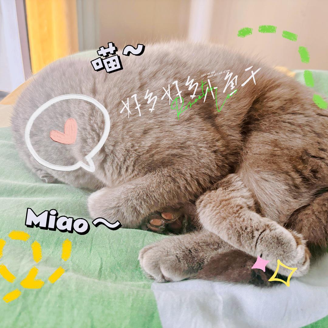 国画小菜鸟
