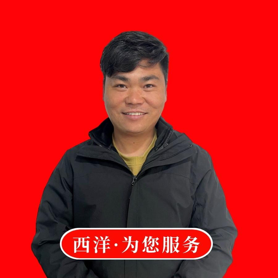 阜阳六子二手货车西洋