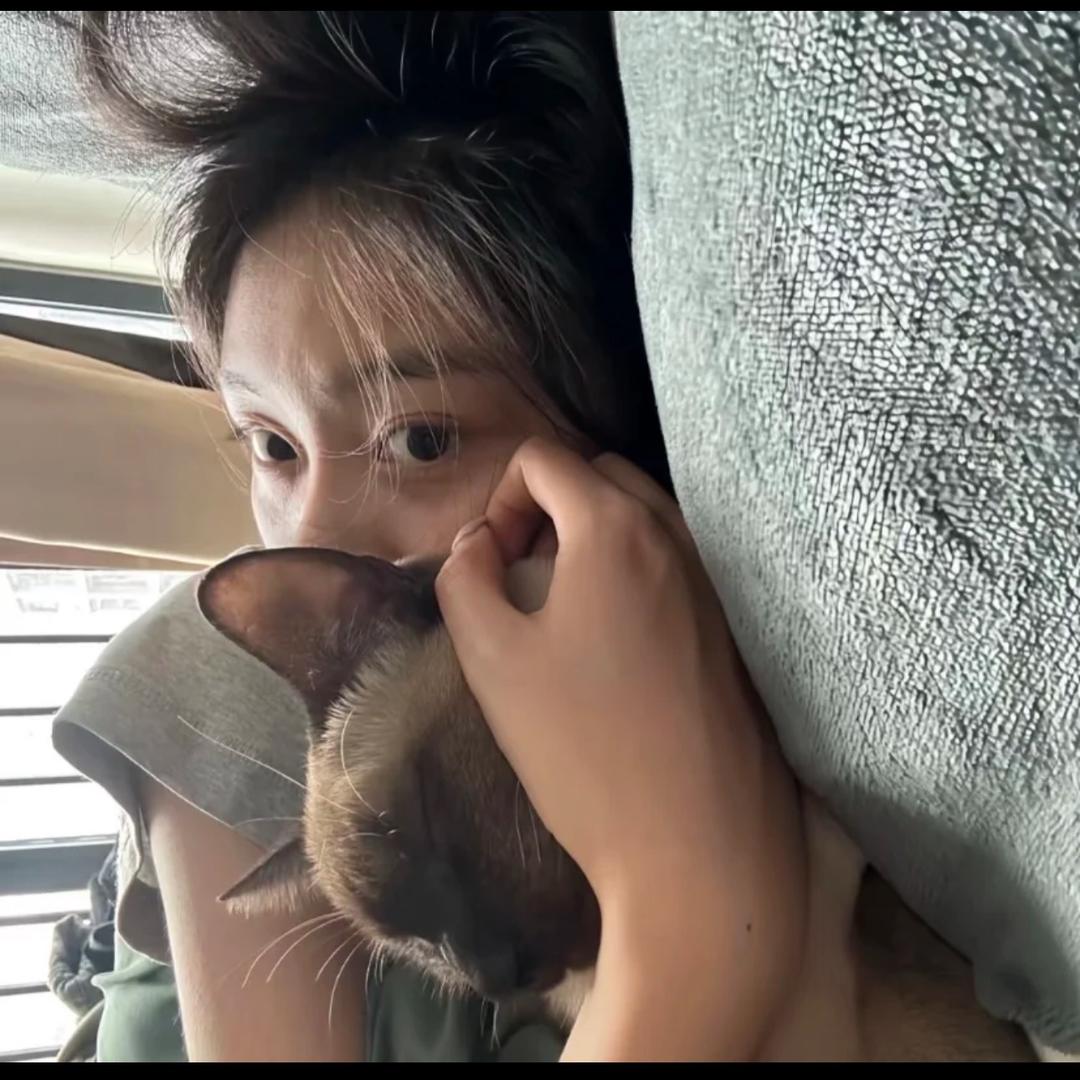小小馒头.