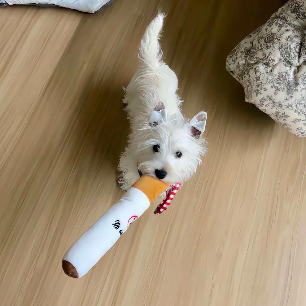 薯条大王🍟