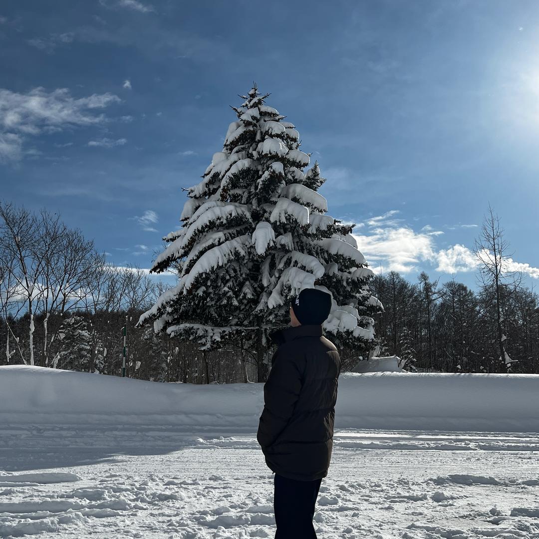 天空树下的约定