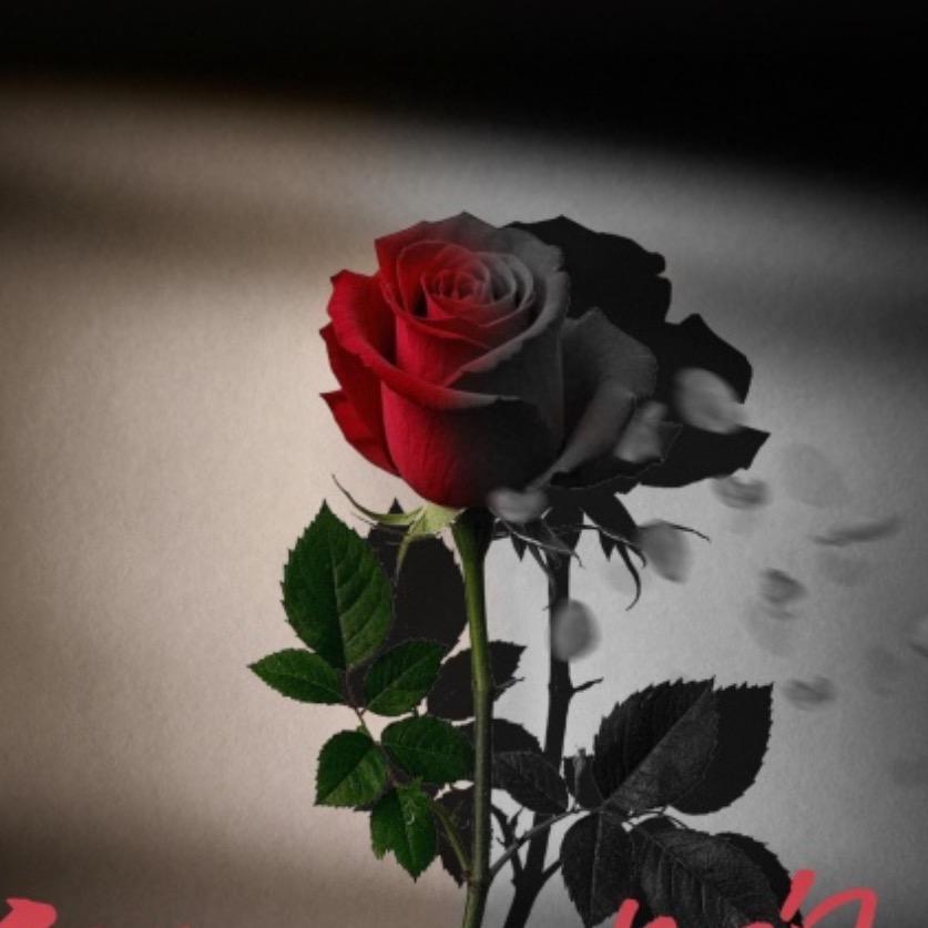 ࿐ཉི༗࿆爱很简单༗࿆ཉི࿐