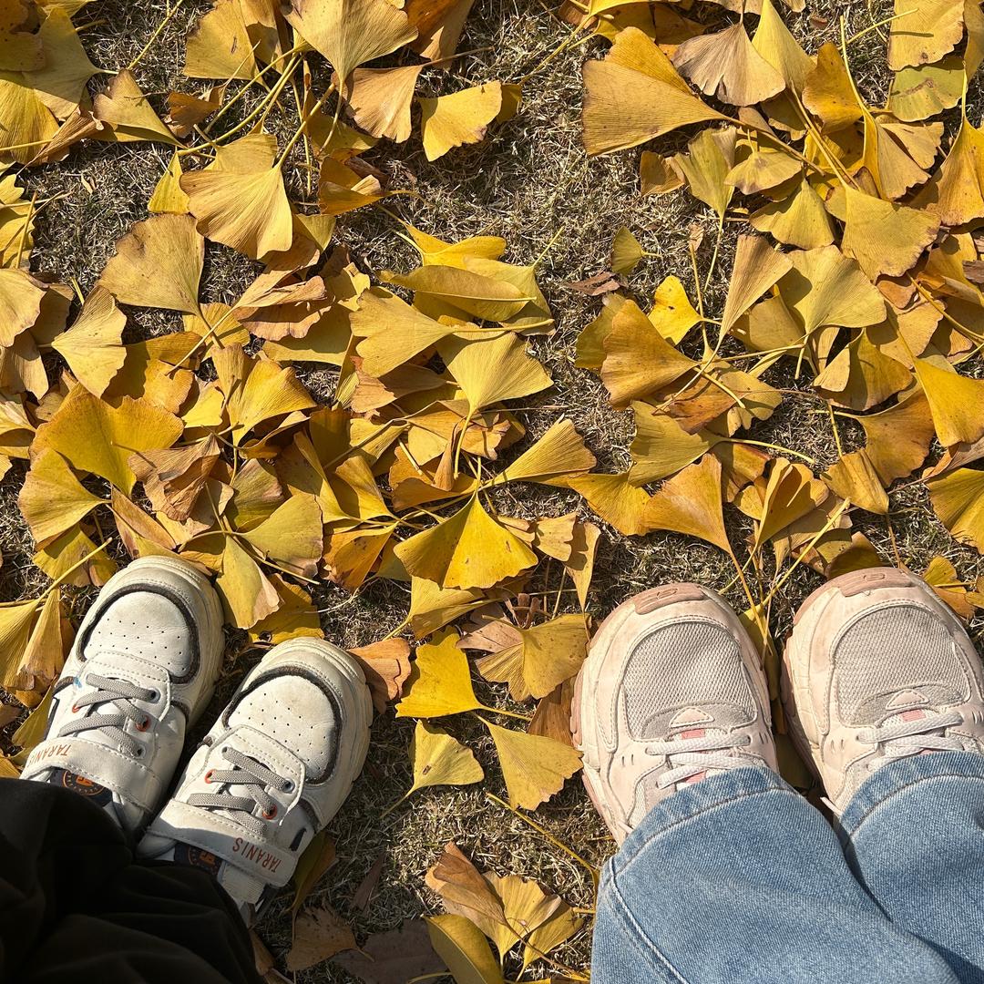 🍂