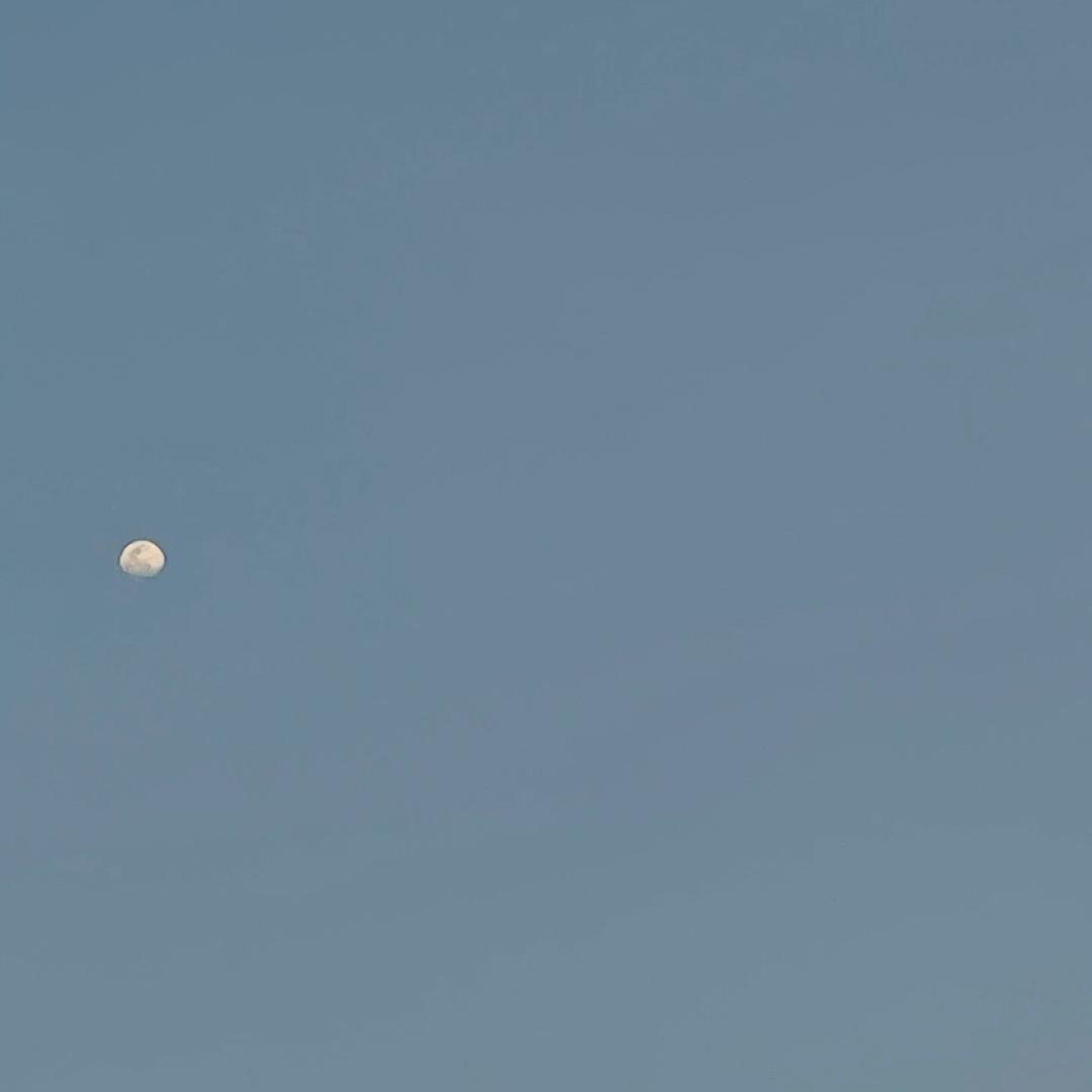 木木易