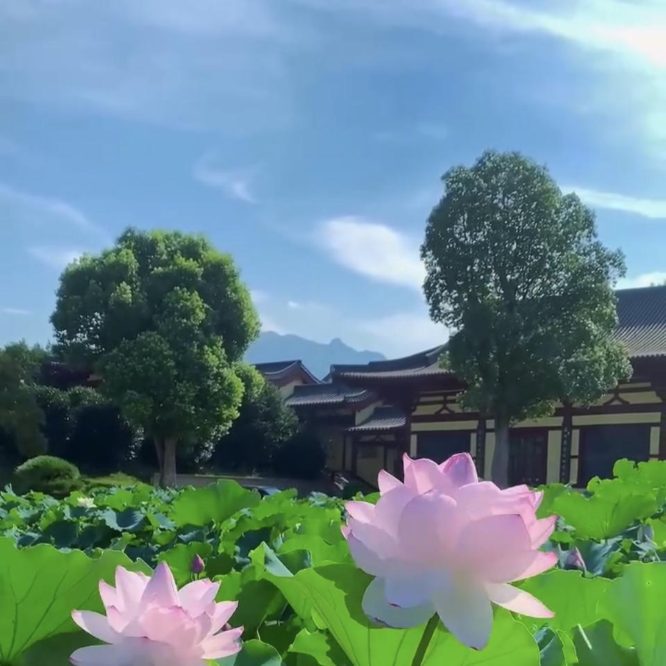 yyy