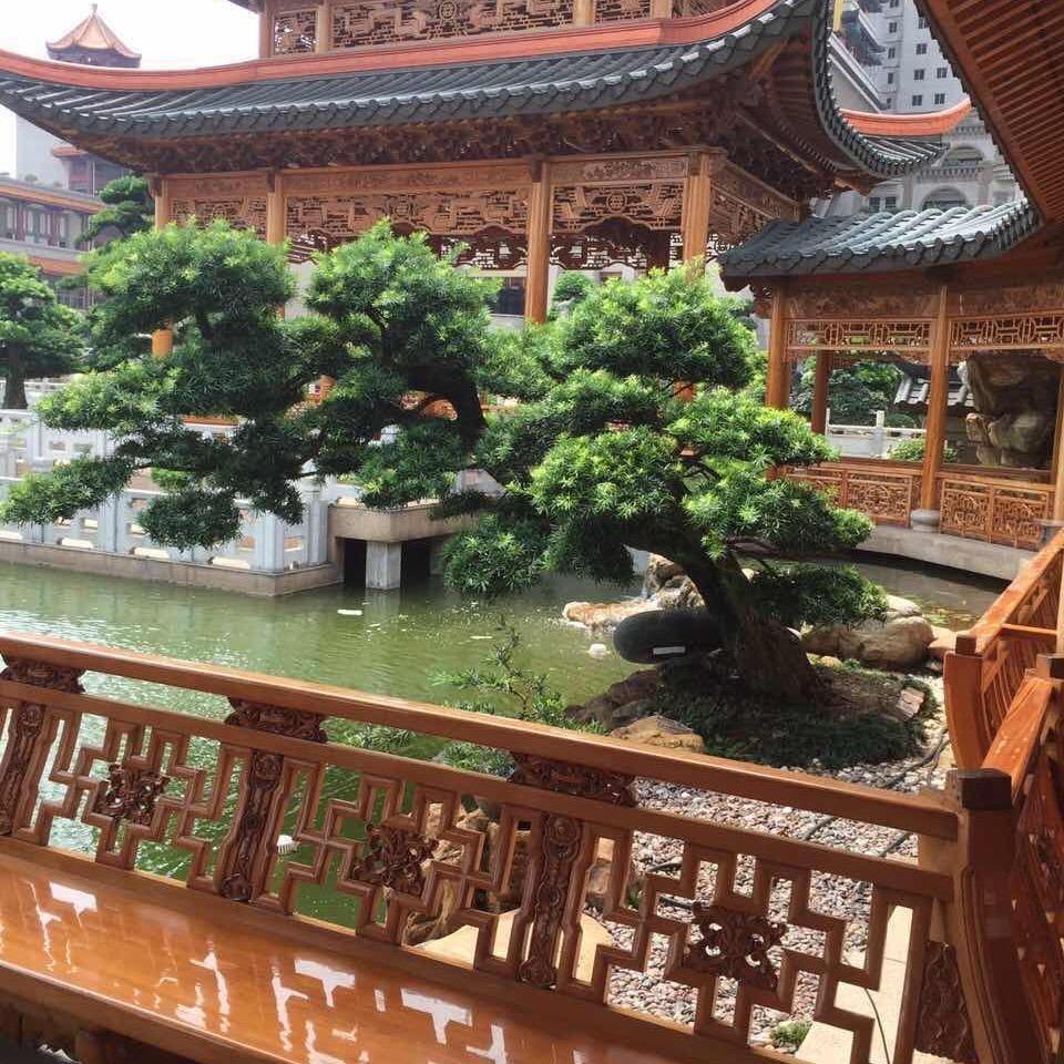 人生