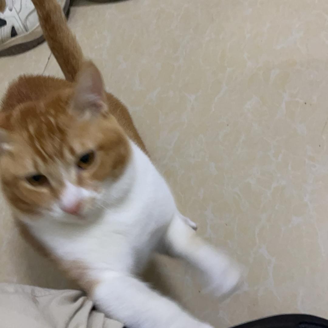 火之开心