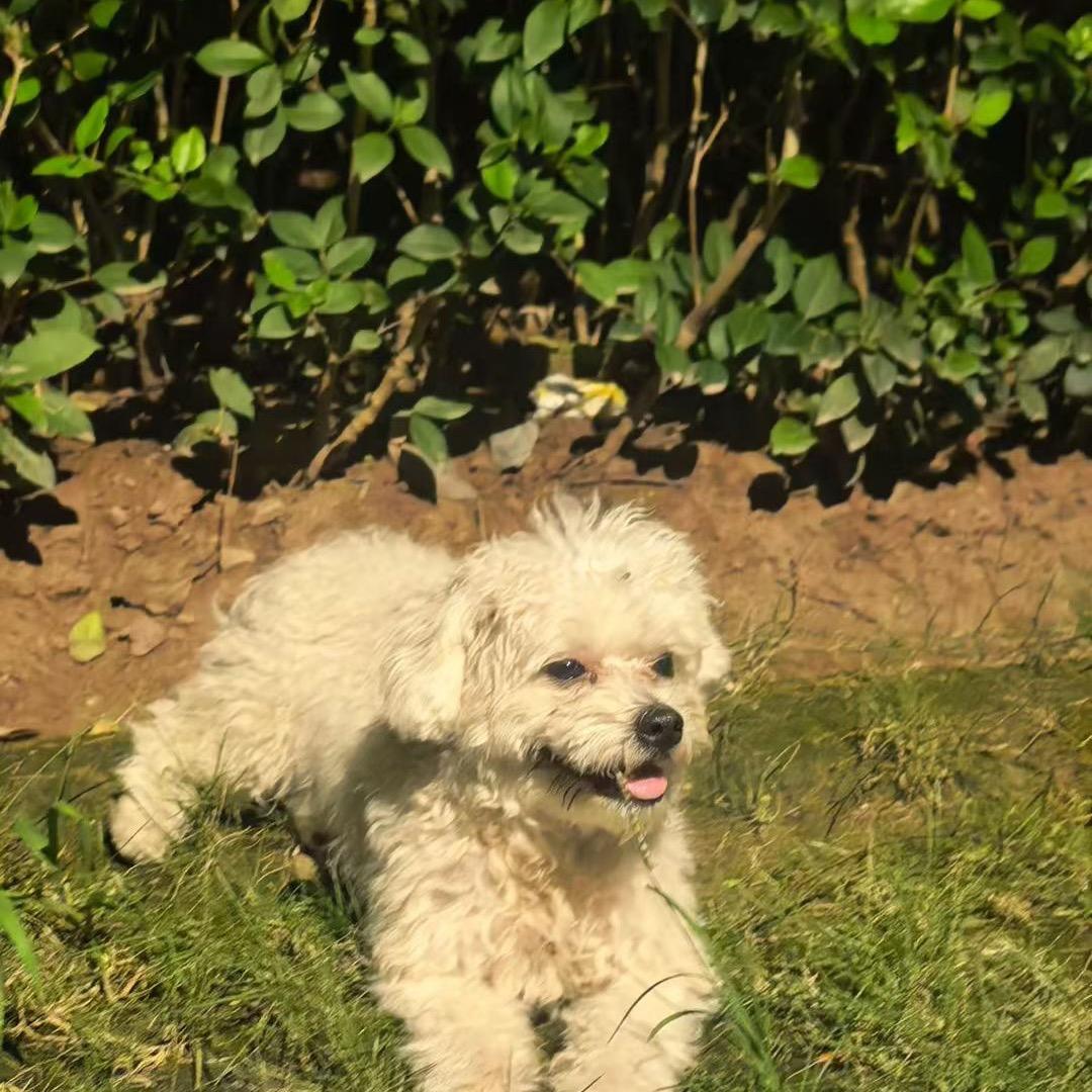 Zeeeeeeeeeeeeeeeeeed