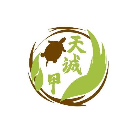 常德 天诚甲