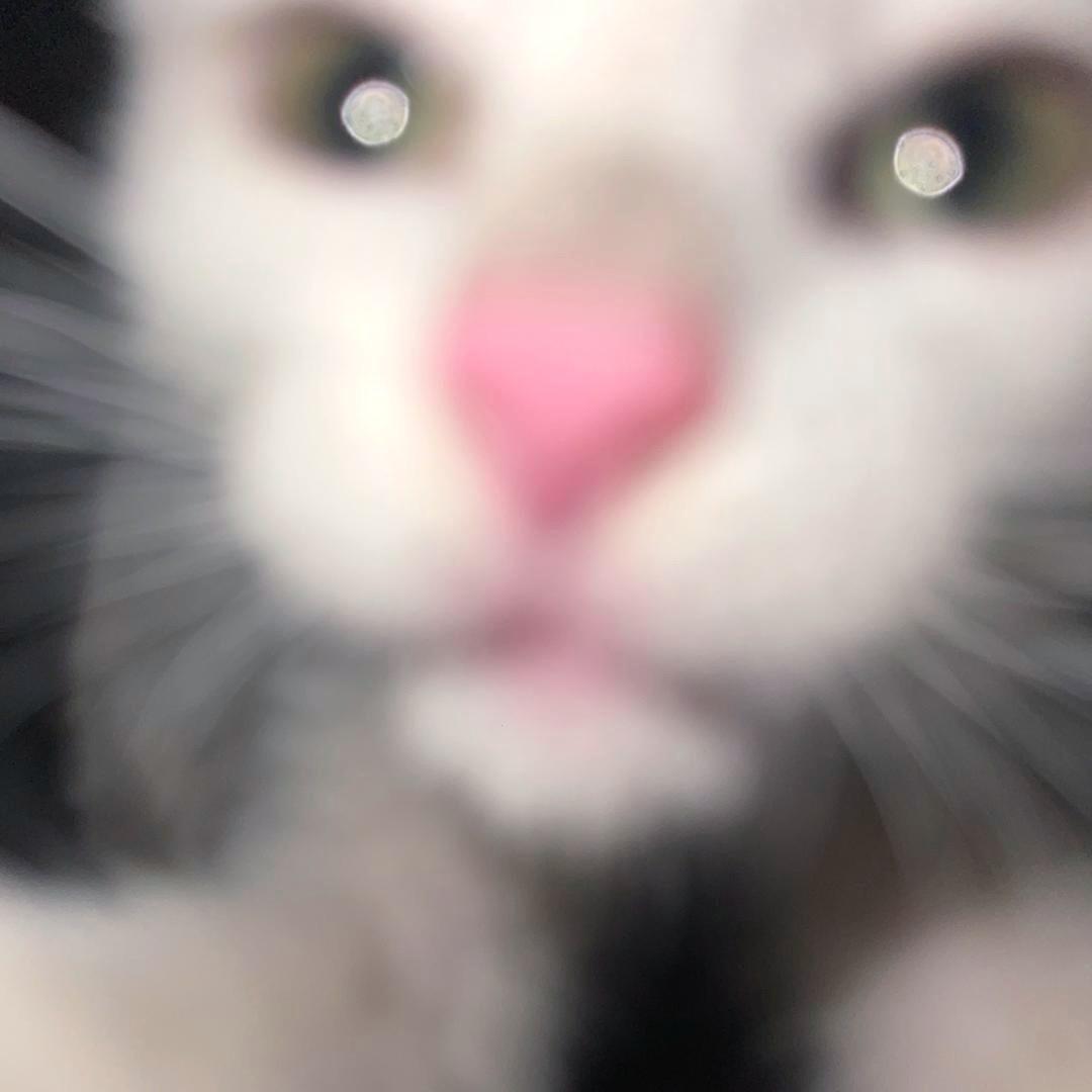 反派