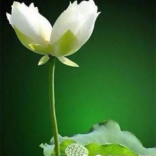 水滴石穿.