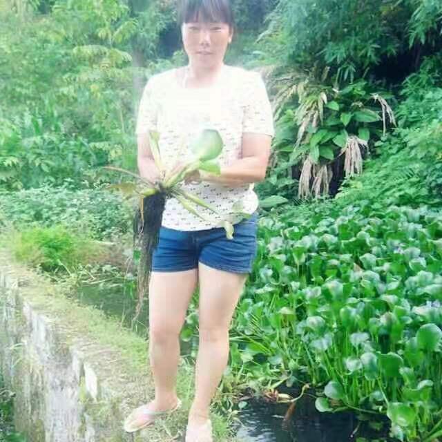 温柔情缘
