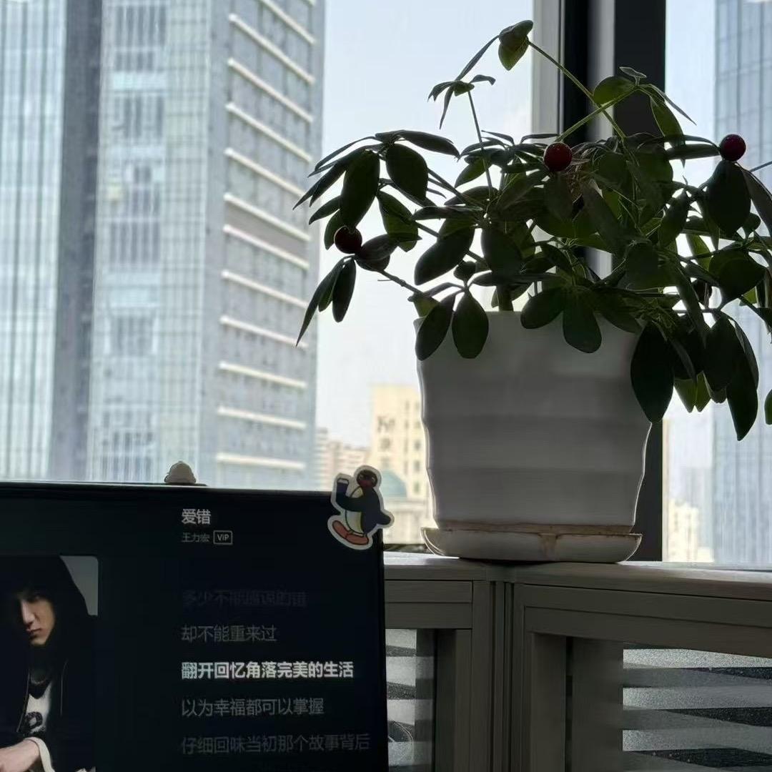 桂A