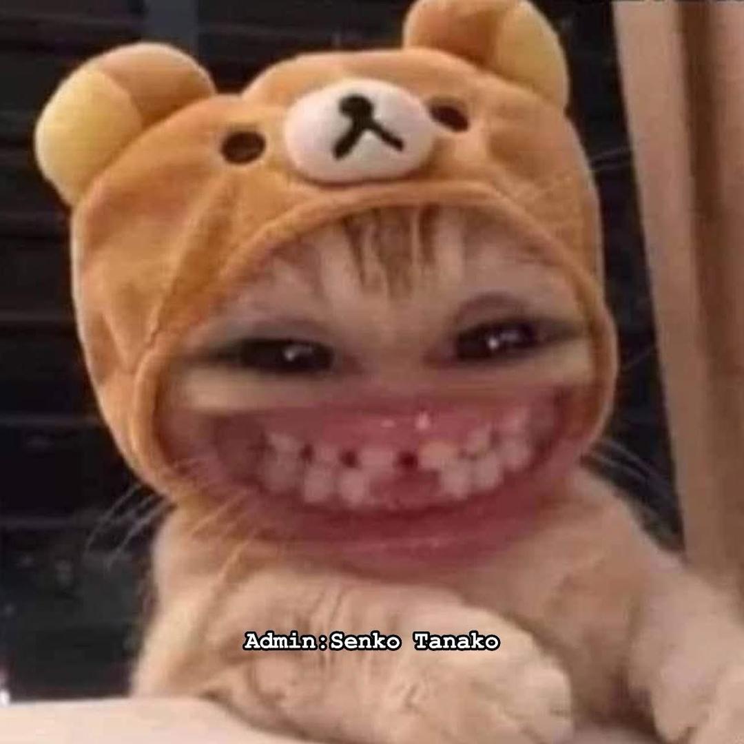 。。。。。