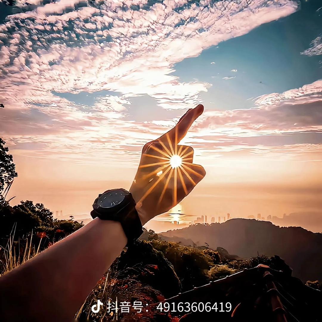 我也不吃香菜i