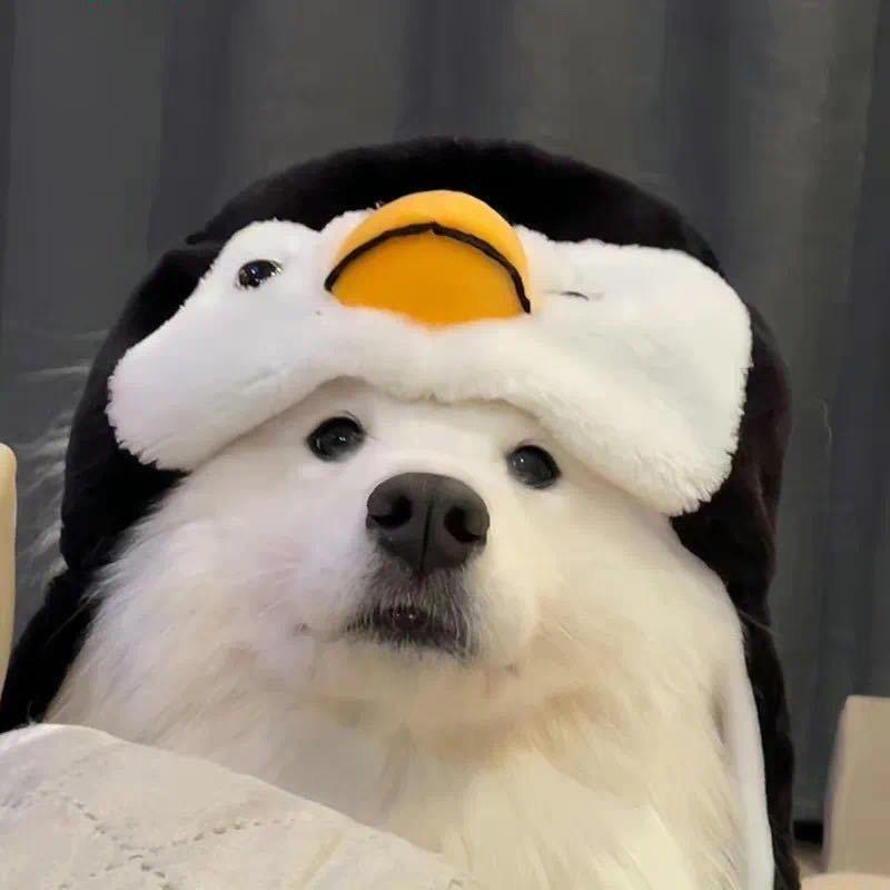 绝小梦