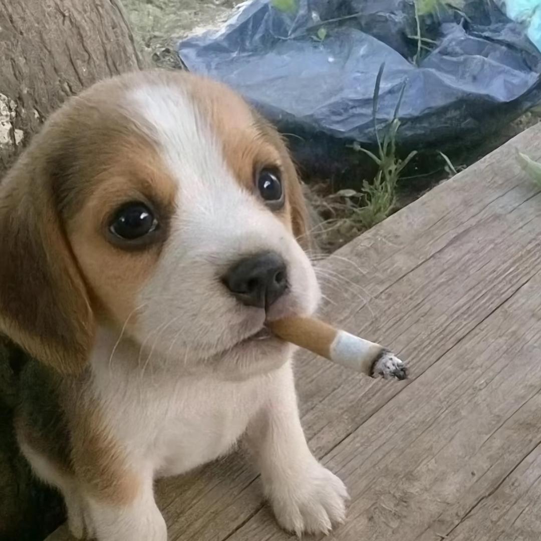 ￴￴￴ ￴￴   ￴ ￴ ￴￴￴