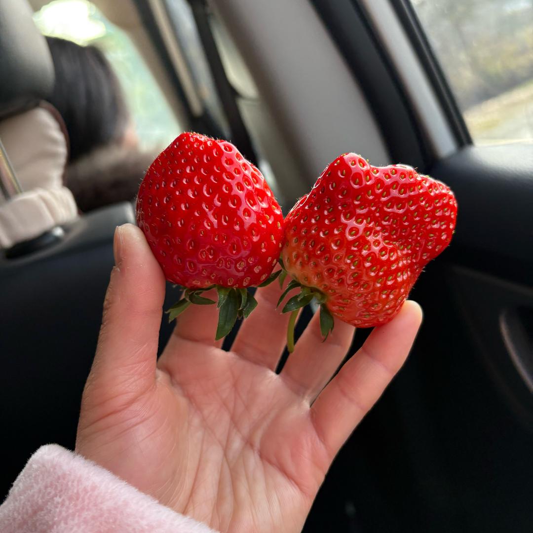 ？？？？