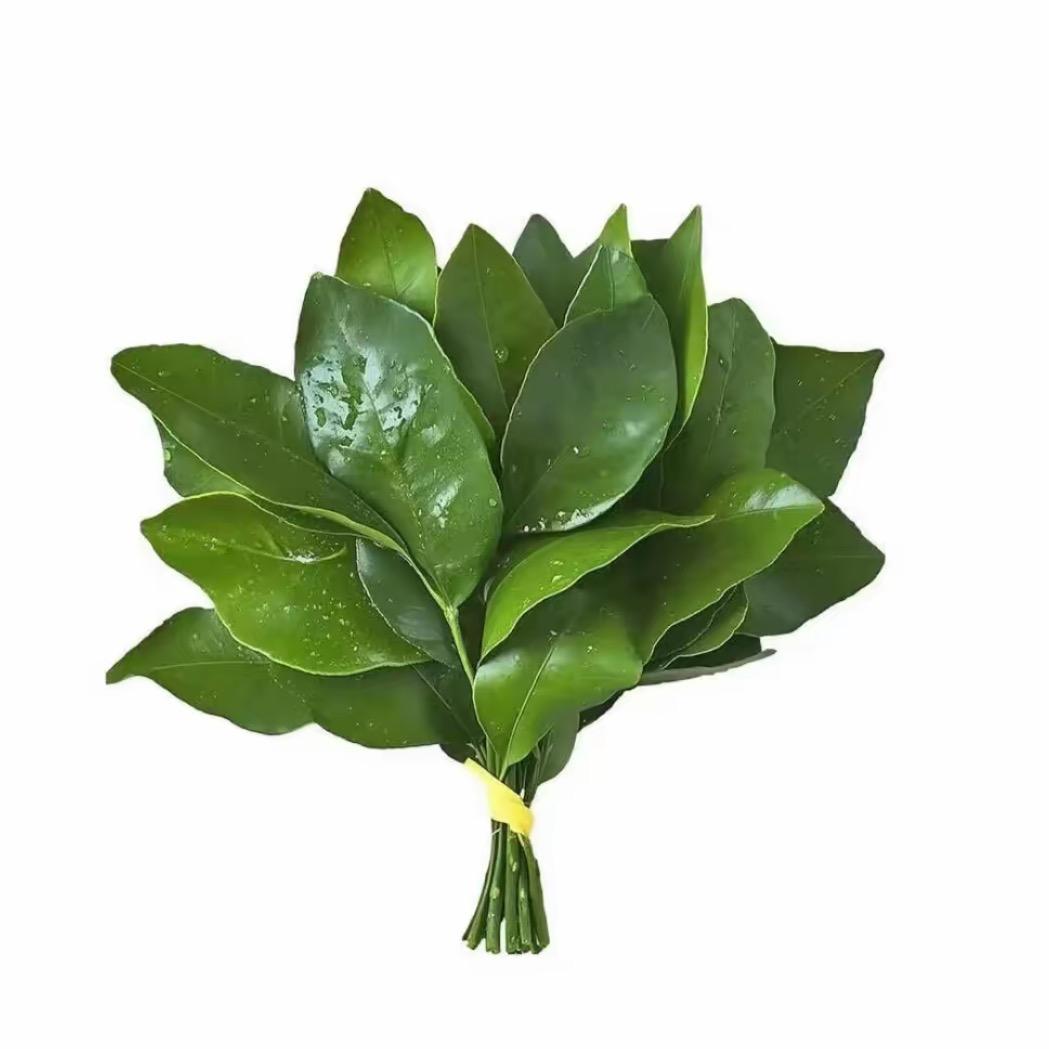 呆呆瑶