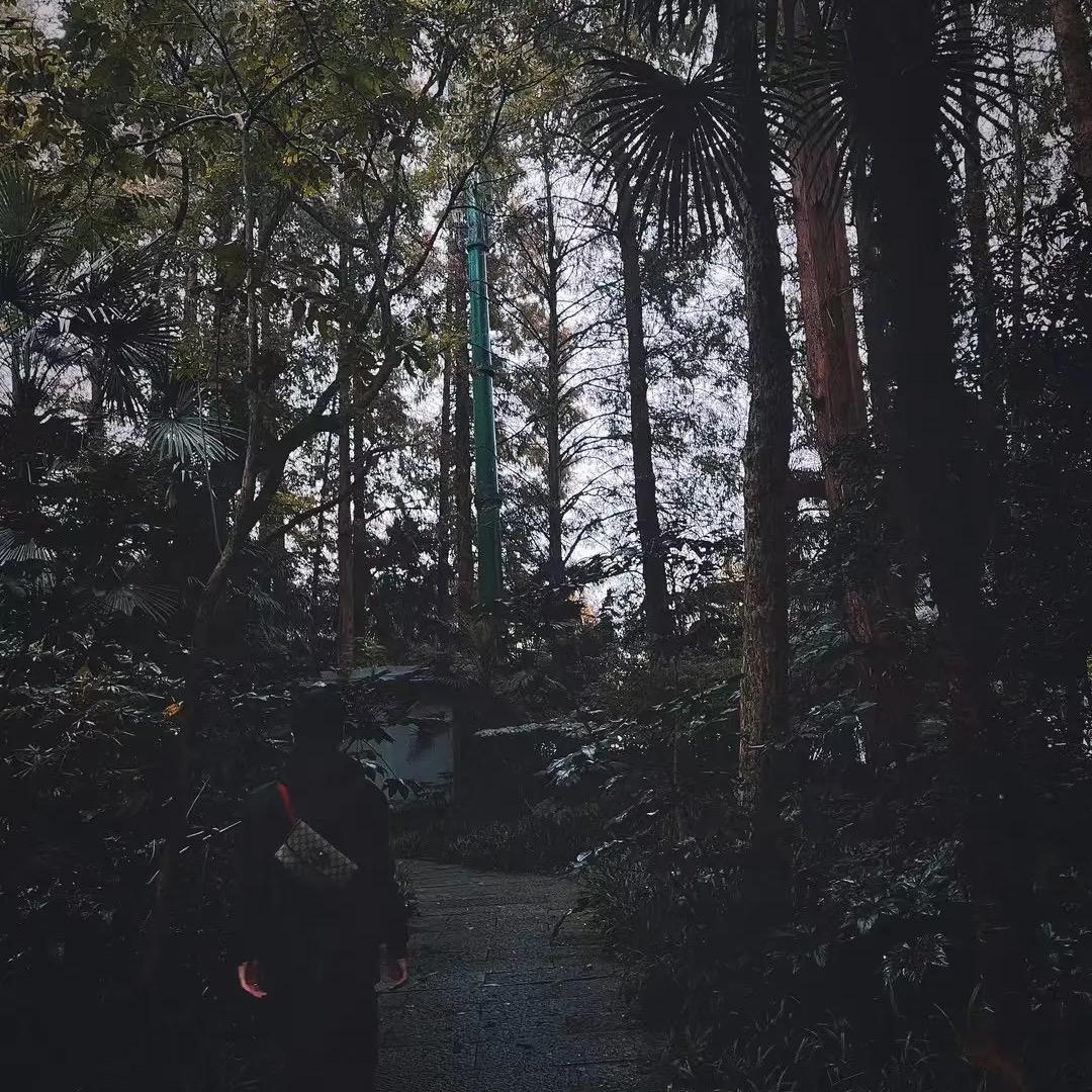 渡度渡度渡