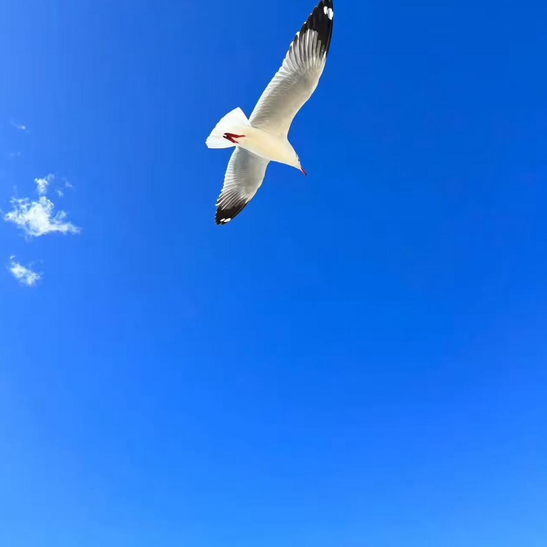 @专属名称