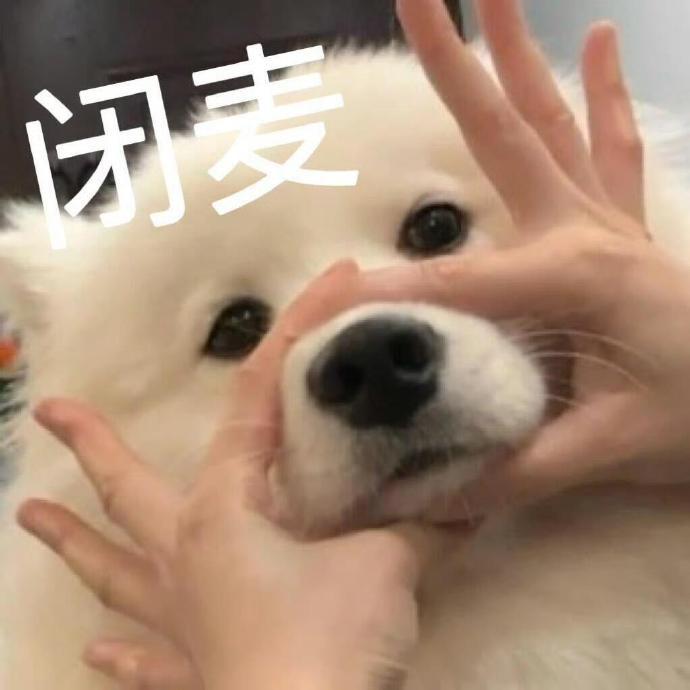 拖帕沾屎天下无敌