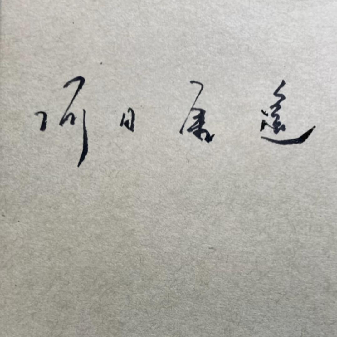 雄鹰般的女人