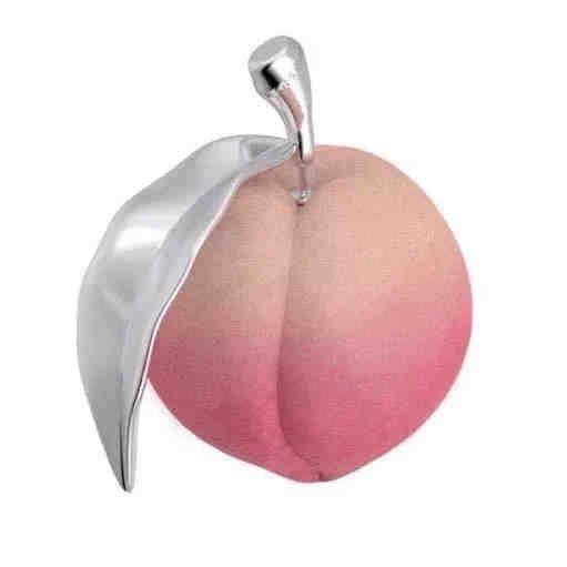 ⌯>ᴗo⌯ .ᐟ.ᐟ🐾桃子