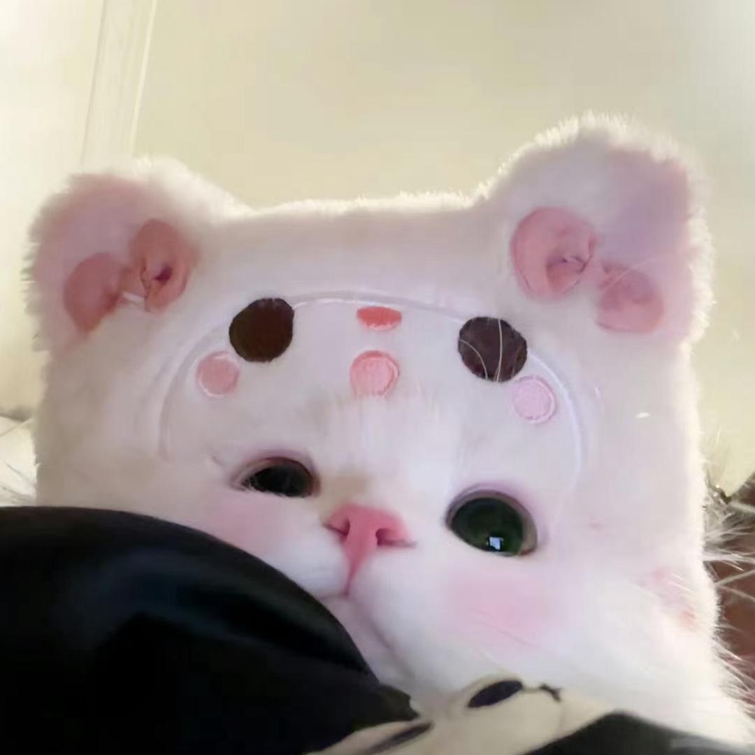 糯米喵