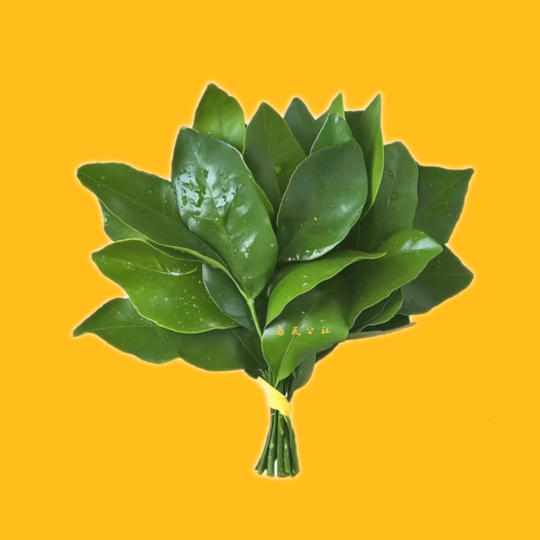 岛民公社