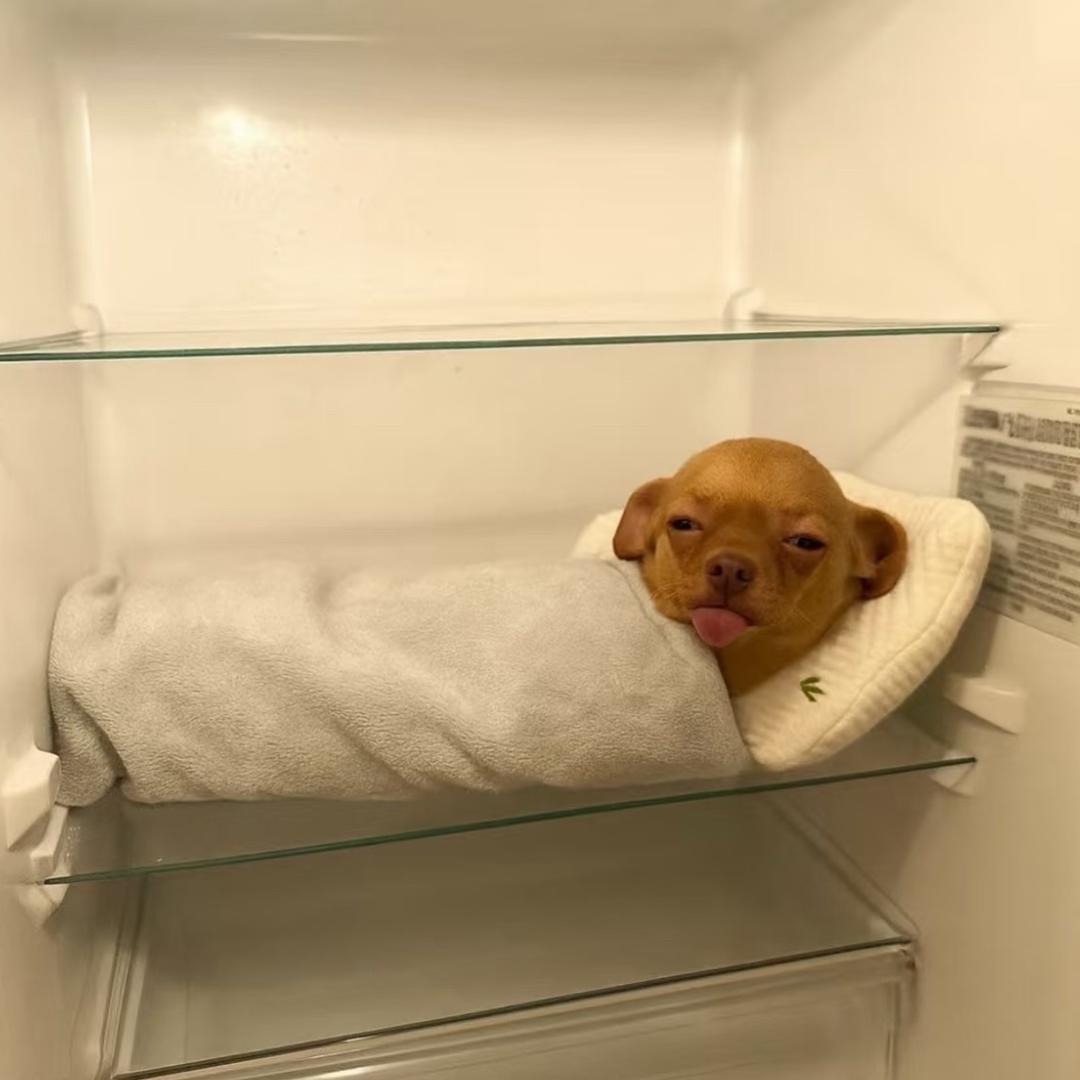 线上颠师线下发画之人体杀手