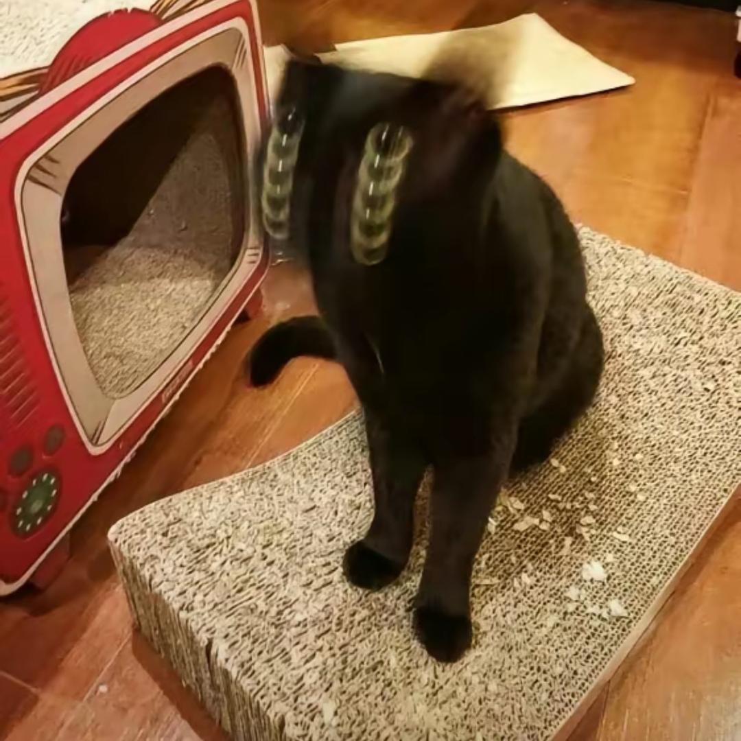 S⭕️