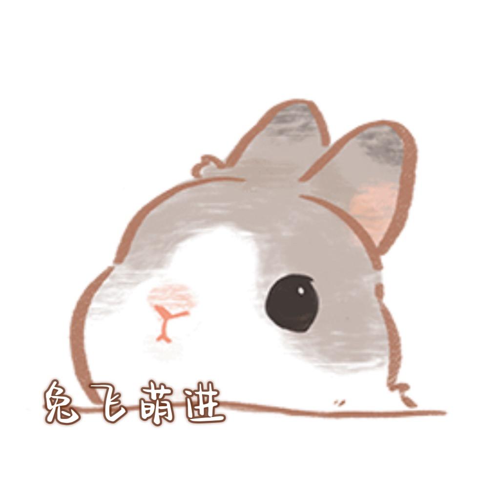 🐰兔飞萌进