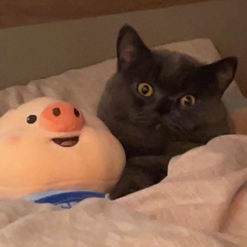 胖胖的宝藏屋