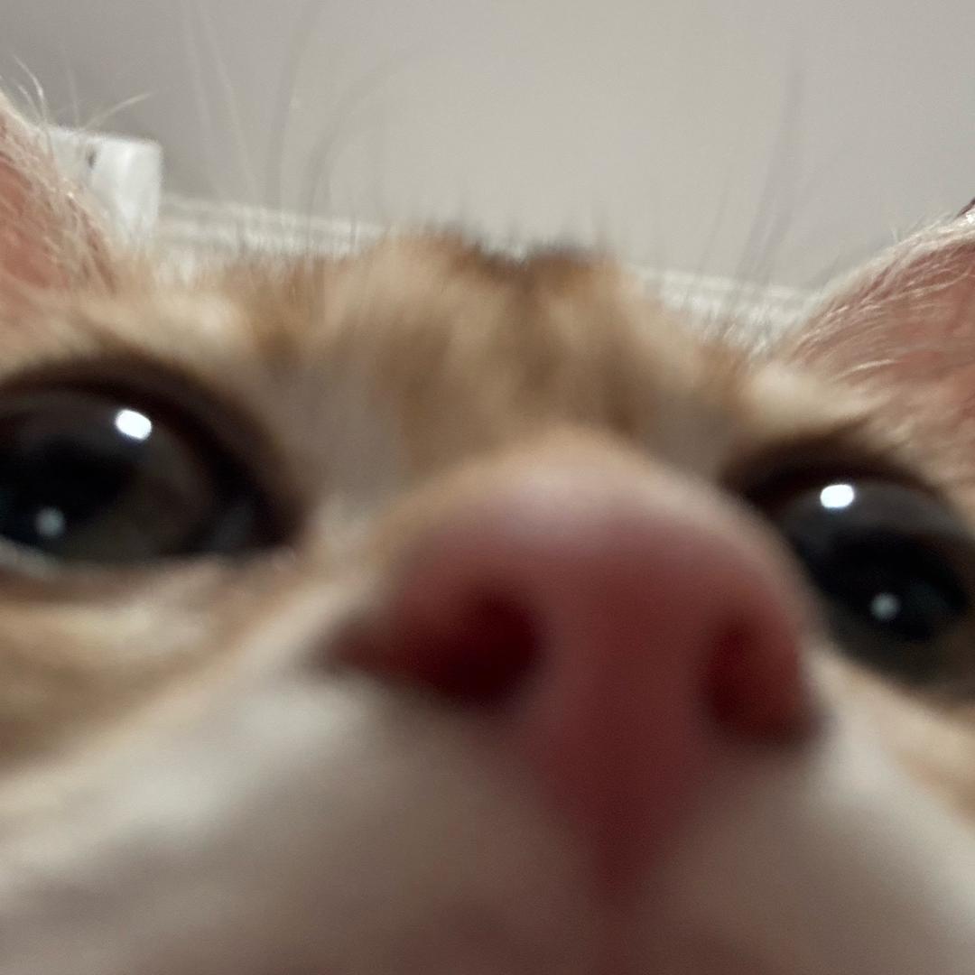 椰椰🐾
