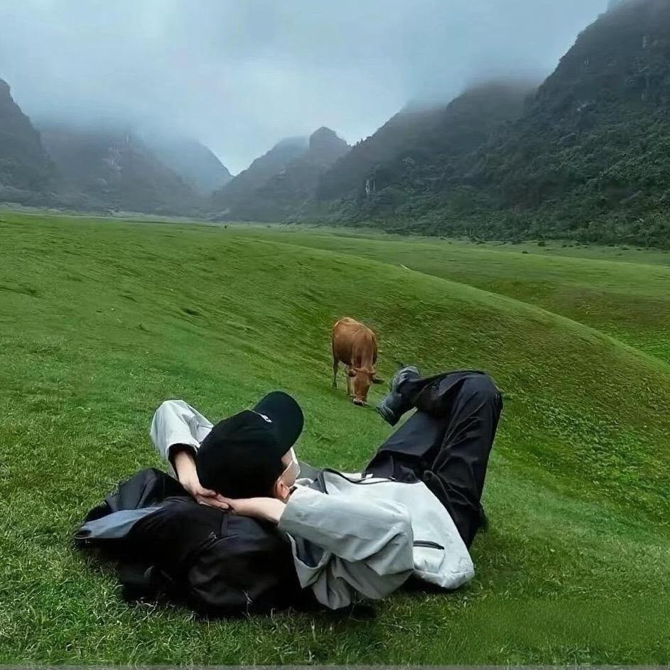 探小张