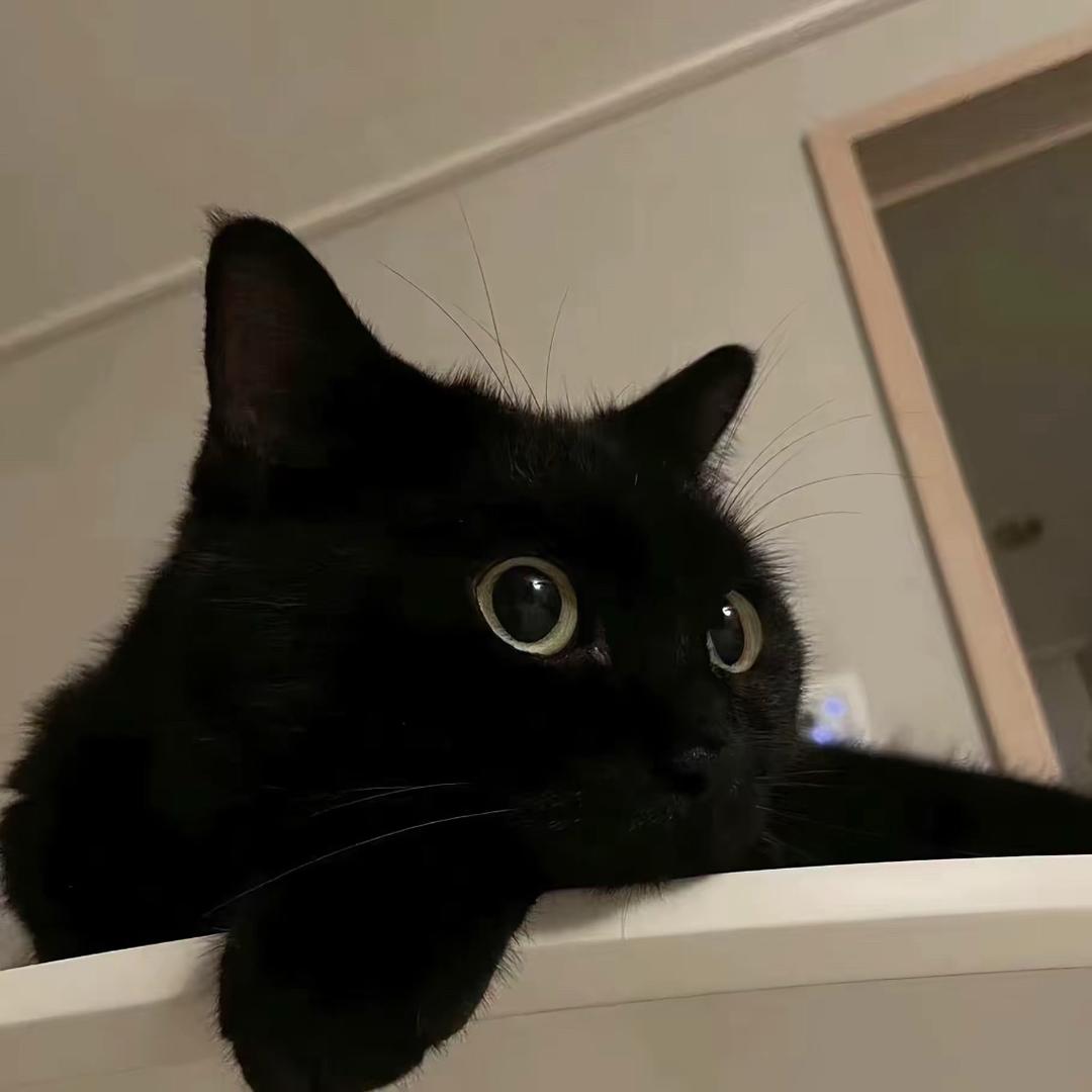 小猫^