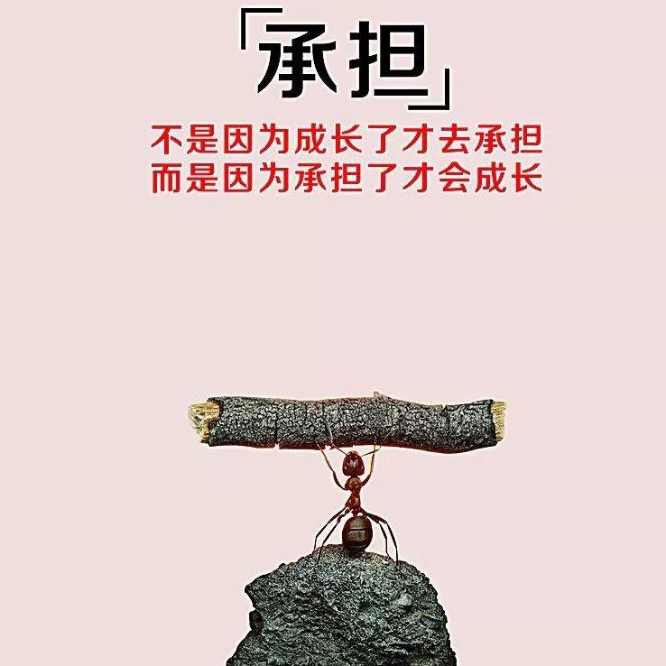 尚赫产品收售一小马百货店